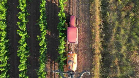 drone topdown view the harmful effects of toxic pesticides used in french vineyards are not just limited to the immediate environment, but can also lead to health risks for those exposed to them