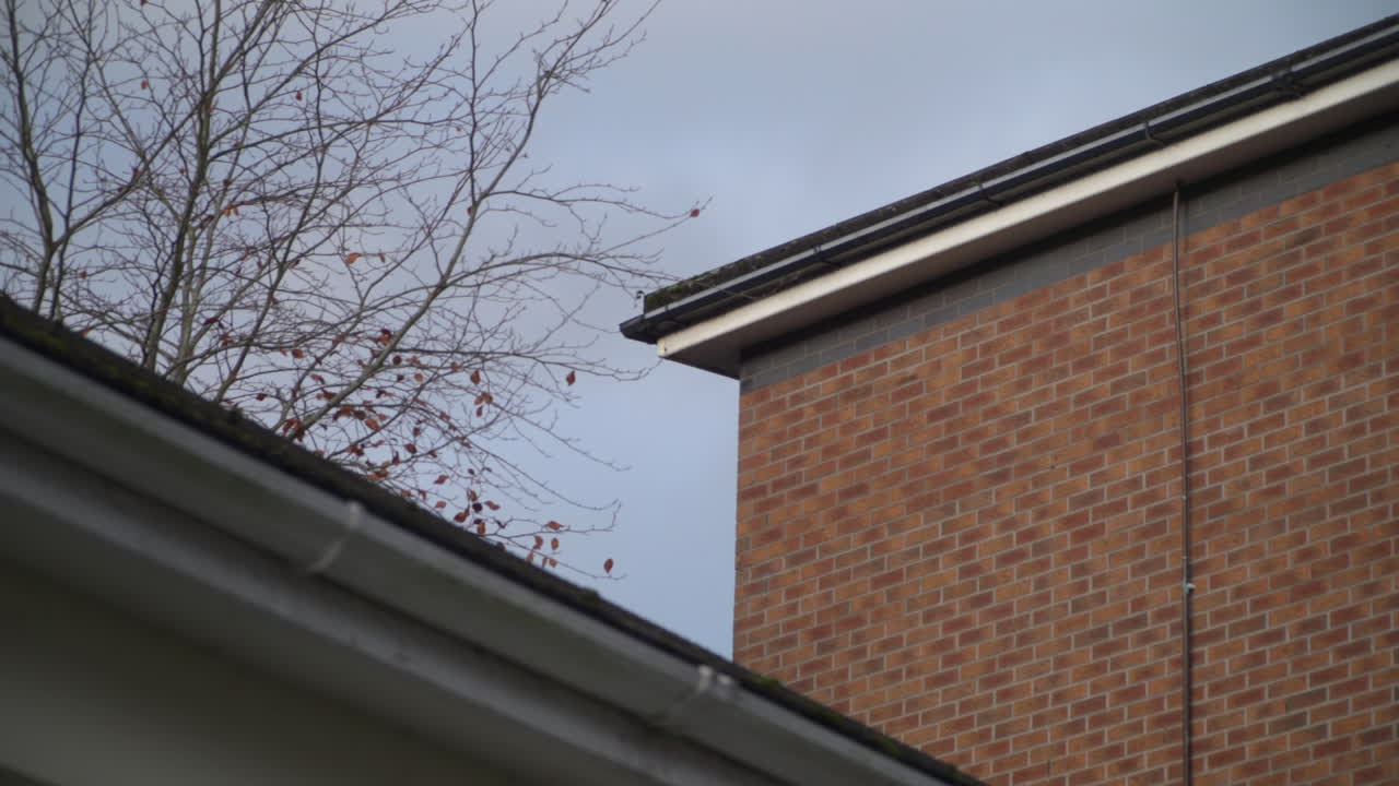 Empty Dorm Room Student, Hostel, Asylum seeker's Accommodation