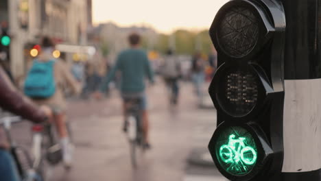 Bike-Traffic-Luz