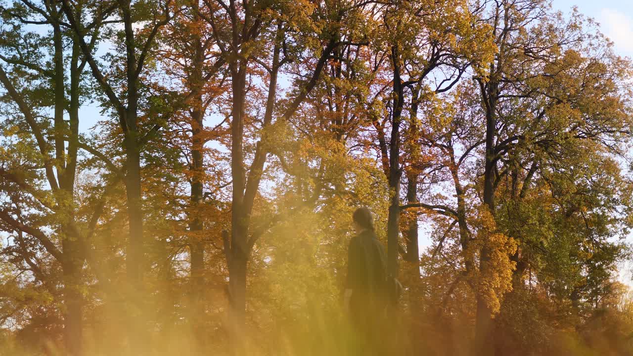 cámara lenta de una mujer joven caminando en el parque en colores de otoño en el soleado día de otoño