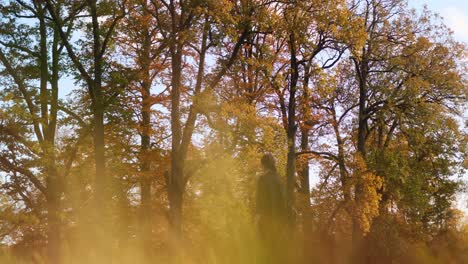 Zeitlupe-Einer-Jungen-Frau,-Die-An-Einem-Sonnigen-Herbsttag-In-Herbstfarben-Im-Park-Spaziert