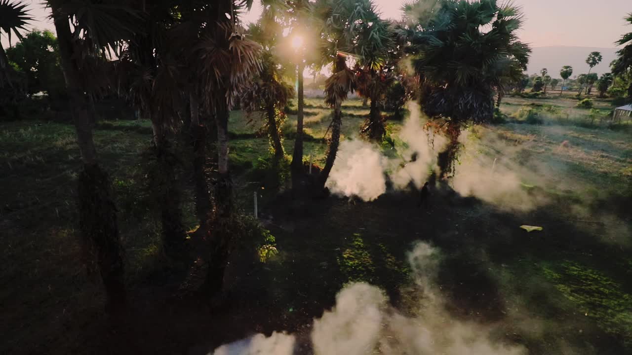 Sunset over a burning field with palm trees