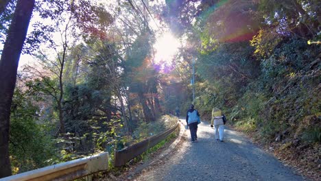 Mount-Takao-Day-Trip:-Explore-Tokyo's-Favorite-Mountain