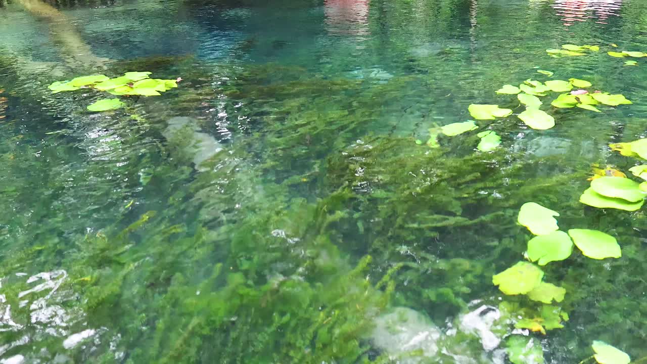 viaje en kayak en el canal de agua clara de krabi