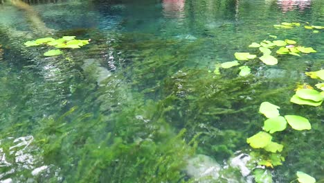 kayak journey in krabi's clear water canal