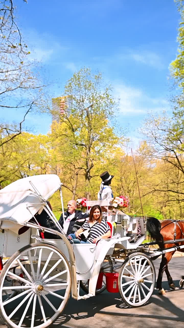 Horse-drawn carriage ride through Central Park in spring