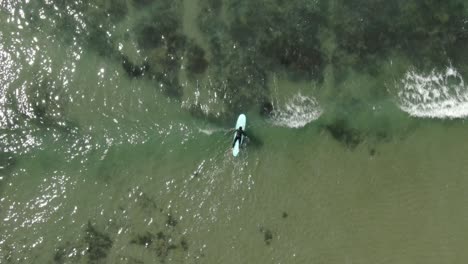 surfers on the sea, kamakura, japan