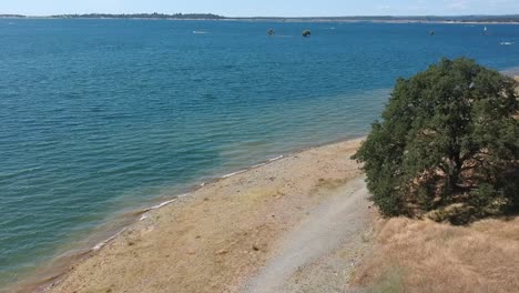 aerial view of the shoreline along folsom lake, california