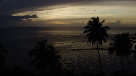 Cámara-Rodante-En-Tiro-Sobre-El-Paraíso-Tropical-De-Lujo-De-Playa-Ostionse-Puerto-Rico---Siluetas-De-Palmeras-En-Primer-Plano