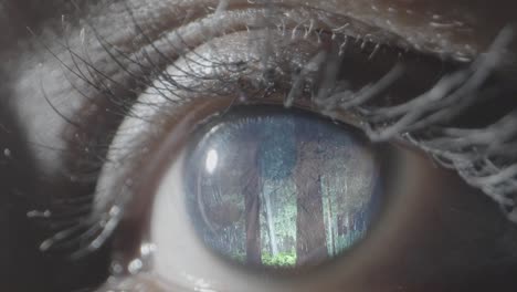 forest-and-rain-in-Eye-Graphic-Stock-video-extreme-closeup-view