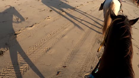 funny horseback riding pov shot