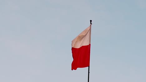 bandera polaca ondeando en el viento - cámara lenta