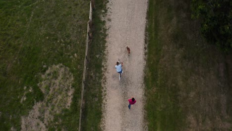 Toma-De-Drone-De-Una-Pareja-Con-Un-Perro-Mascota-Montando-En-Bicicleta-Por-Un-Camino-Rural-Al-Atardecer