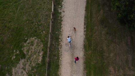 disparo de avión no tripulado de una pareja con un perro de mascota montando en bicicleta a lo largo de una calle de campo al atardecer