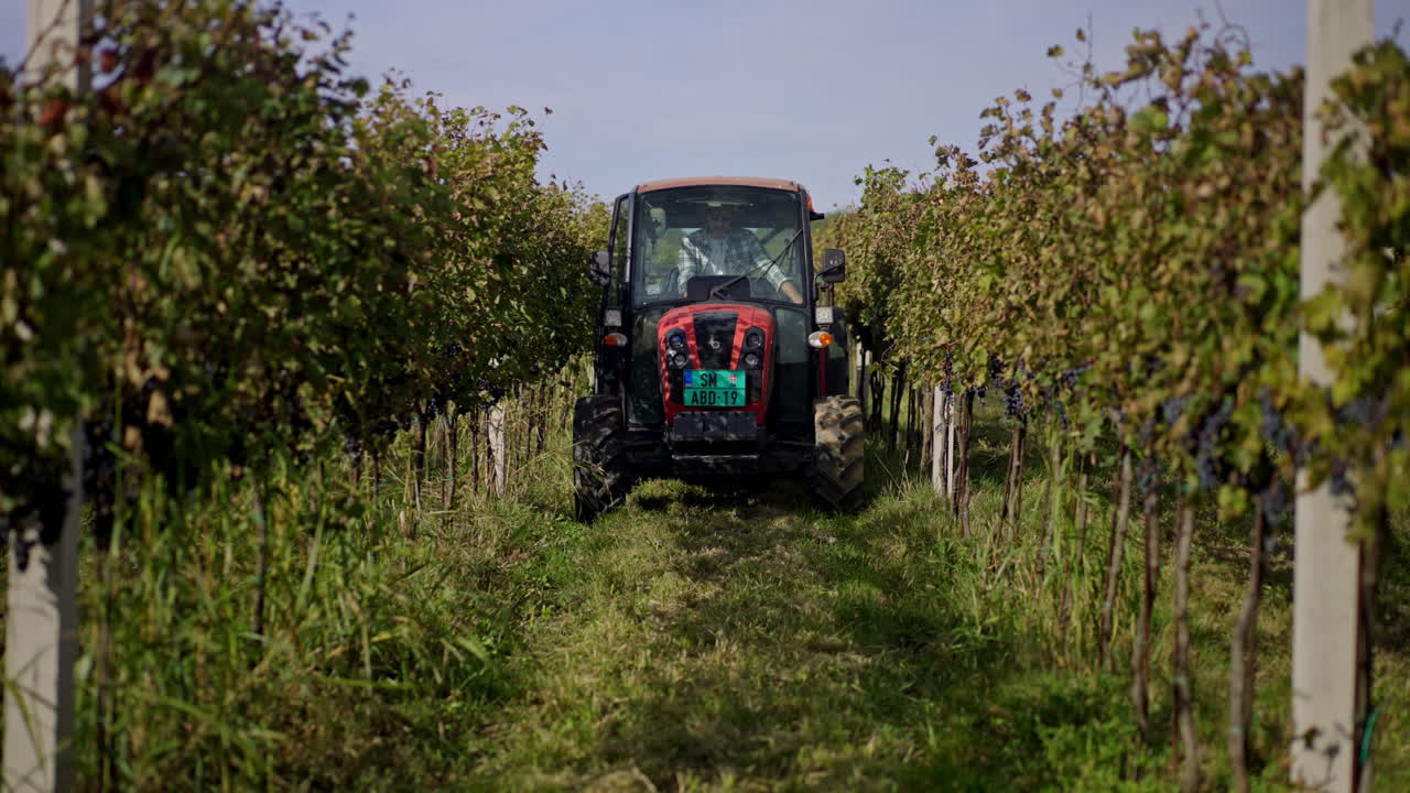 Tractor in a Vineyard