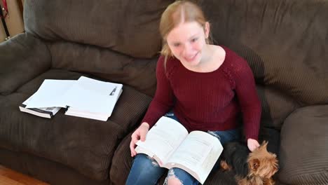 un pequeño yorkshire terrier acompaña a madelyne mientras estudia para un examen