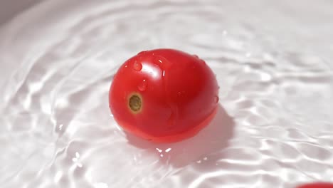 small tomatoes on a white background, sanitized in water