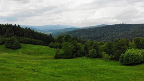 bergwiese und unberührter wald in den beskid-sadecki-bergen, polen