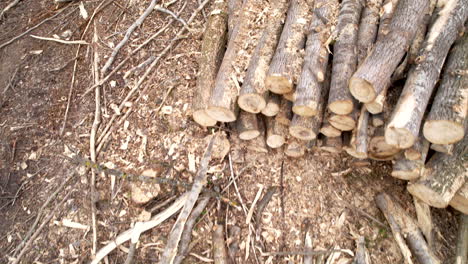 Aerial-forward-view-of-bundles-of-wood-and-stacks-of-logs