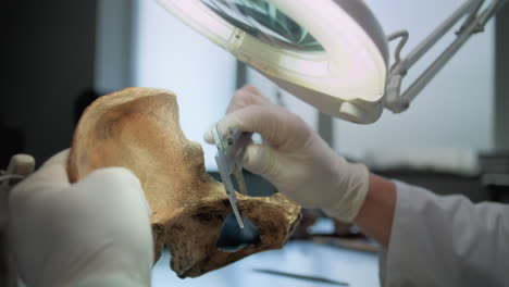 analysis of an ancient hip bone