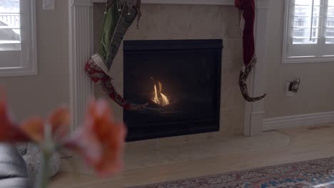 a cozy fireplace the sliding left and focus pull to amaryllis flower on an end table - sliding motion