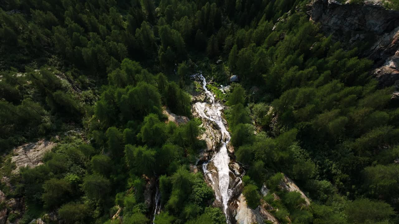 corriente de agua glacial en el valle de valmalenco de valtellina en la temporada de verano, norte de italia