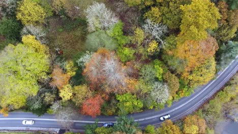 Vista-De-Arriba-Hacia-Abajo-De-Drones-De-La-Colorida-Escena-Del-árbol-De-Otoño-Con-Autos-Que-Pasan-Por-El-Parque-Nacional-Del-Distrito-De-Los-Lagos