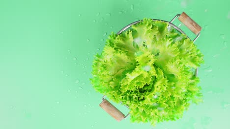 fresh lettuce in a colander falling water drops.