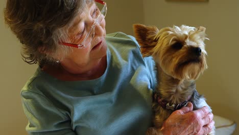 Senior-woman-holding-a-dog-4k