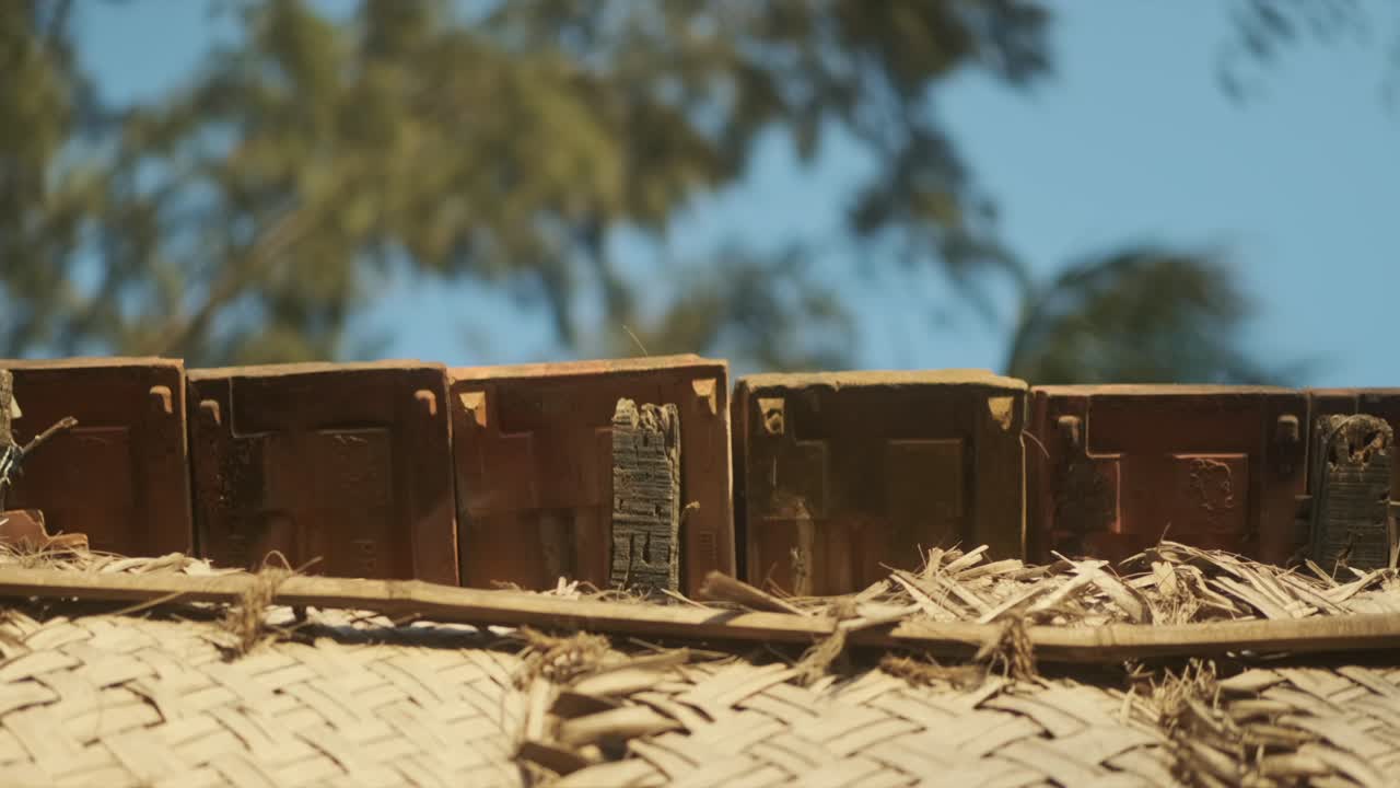 나무는 지붕 타일의 면 뒤에서 바람에 부히고