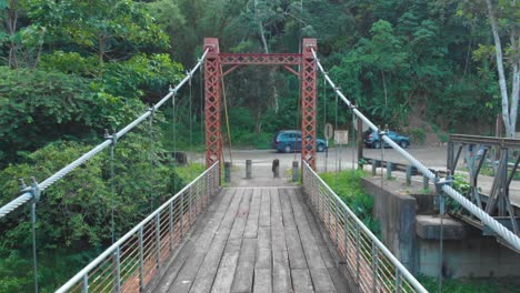 cross the blanchisseuse spring bridge in trinidad