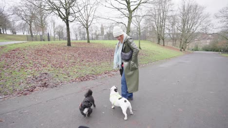 dog owner reaches into pocket producing a handful of treats