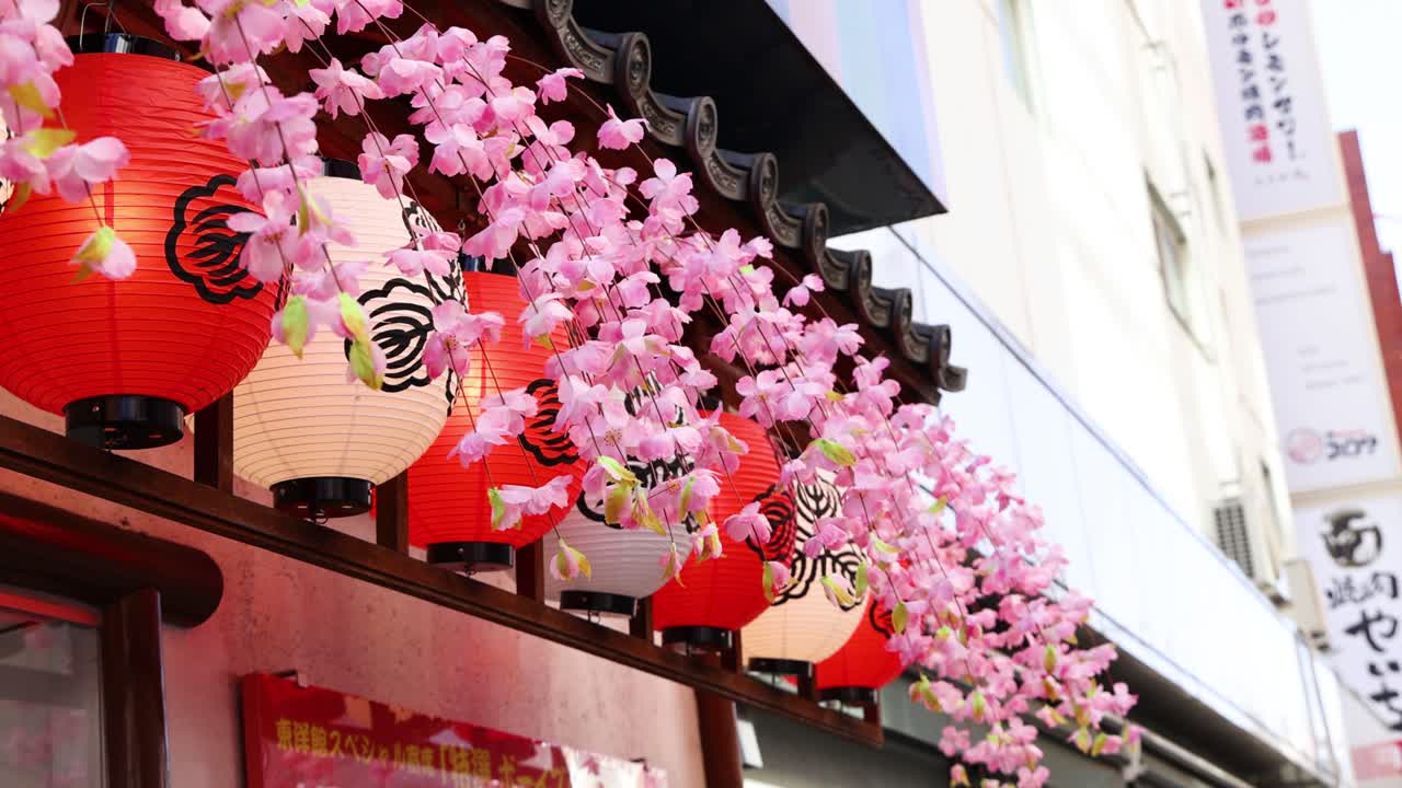 vista estática de las flores de cerezo que sobresalen de las linternas