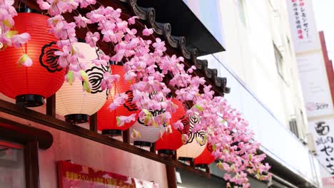 static view of cherry blossoms overhanging lanterns