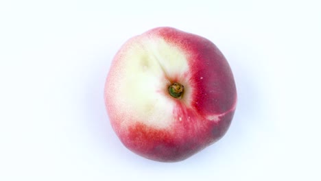 one whole flat peach. rotates on the turntable. isolated on the white background. close-up. macro.