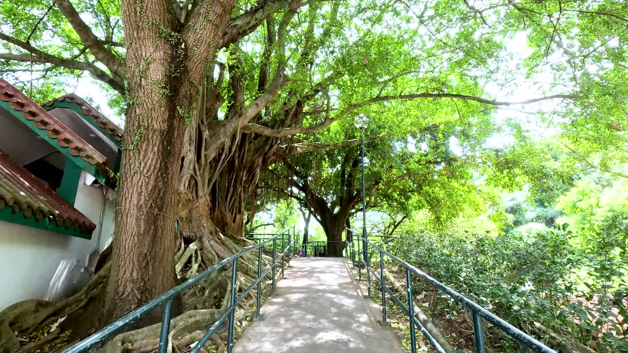 바나무 공원 경로