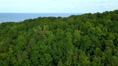 Hermoso-Bosque-De-Montaña-Verde-Y-Exuberante-Junto-Al-Mar--gdynia,-Polonia--antena