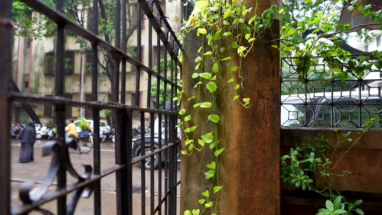 Rainy Day in Mumbai: City Street Scene with Lush Greenery
