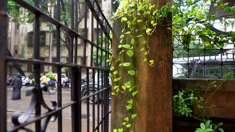 rainy day in mumbai: city street scene with lush greenery