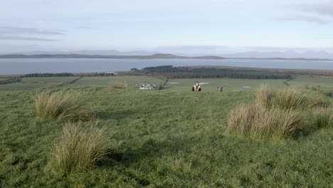 Lady-walking-her-dog-in-the-Highlands-of-Scotland-with-beautiful-views