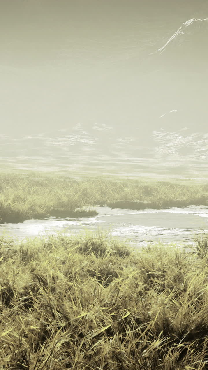 Misty landscape with a small pond surrounded by tall grass at dawn