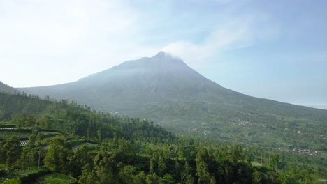 aerial forward flight over vegetable plantation and giant merapi volcano in background during summer