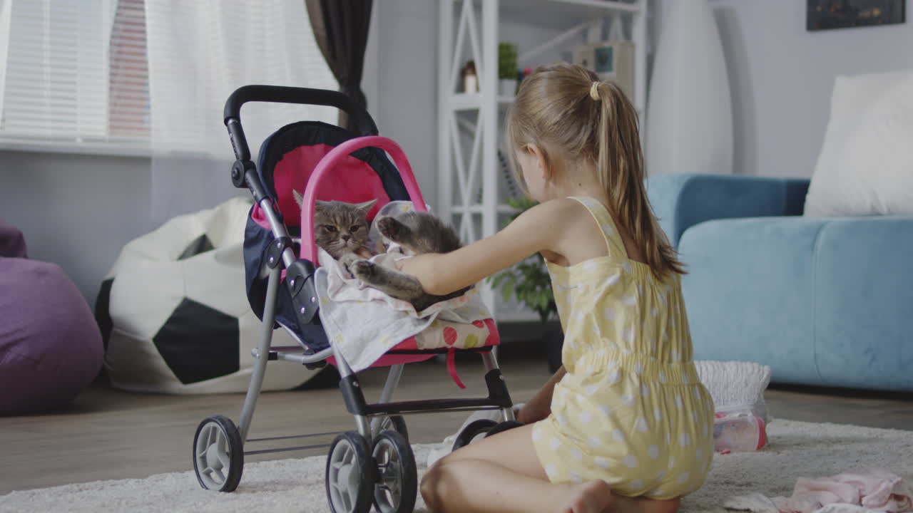 Girl playing with a cat in a doll stroller