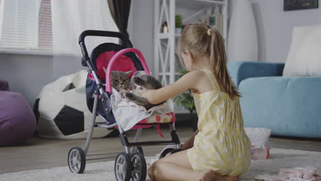 girl playing with a cat in a doll stroller