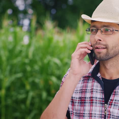 a successful young farmer is on the phone in a corn field 1