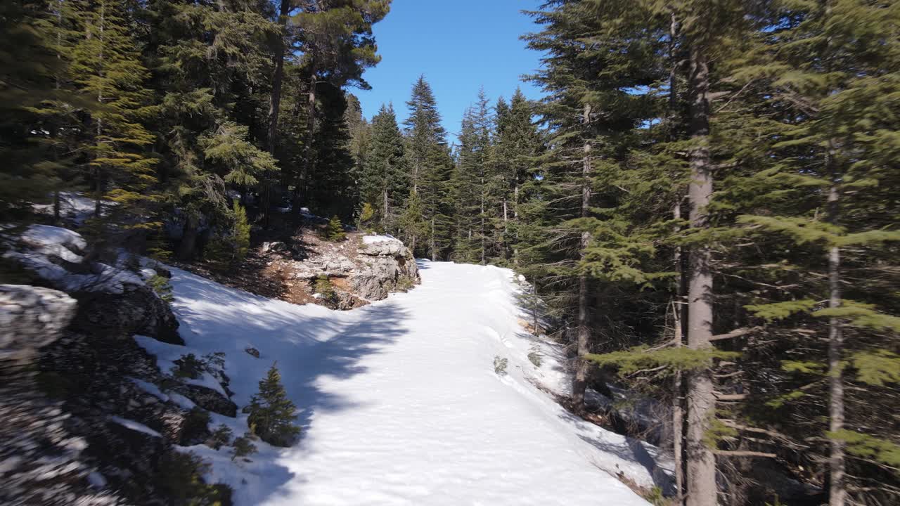 Snowy Path Drone View