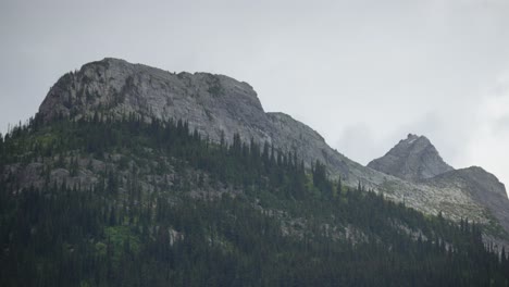 Mountain-peak-with-old-dark-forest-growing-on-it