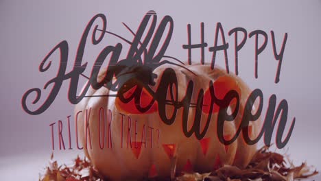 Animation-of-happy-halloween-trick-or-treat-text-with-spider-over-carved-pumpkin-lantern