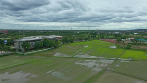 aerial drone over wet paddy fields next to navela hotel in ratchaburi province, thailand