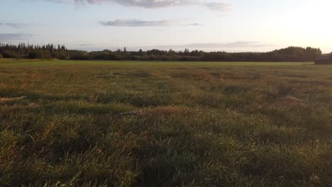 open field with an old house on the right while the sun is slowly rising using a drone traveling above the grass